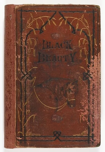Black Beauty 1st Edition