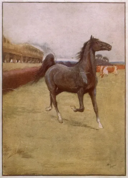 Framed Print : Black Beauty experiences his first train. Date: circa 1930 Framed Print : Black Beauty experiences his first train. Date: circa 1930