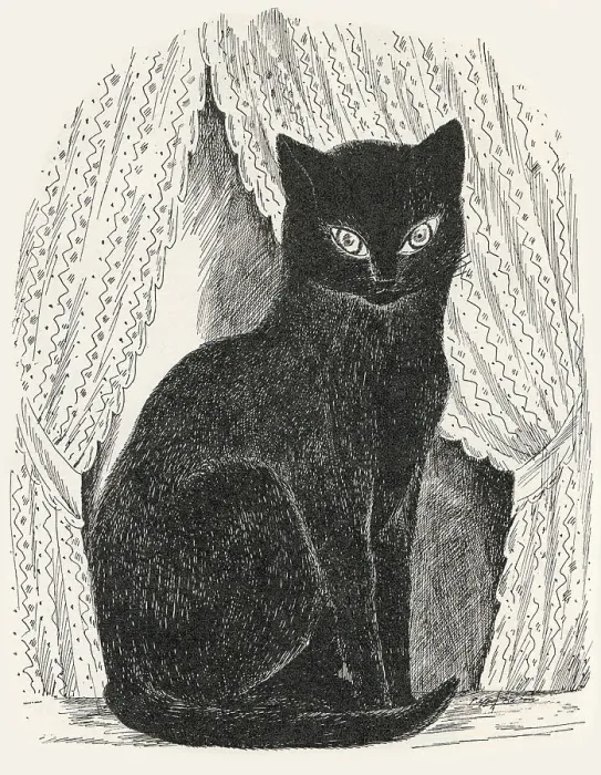 Framed Print : Black Cat - Black cat seated. Artist: Anon. Date: 1927 Framed Print : Black Cat - Black cat seated. Artist: Anon. Date: 1927