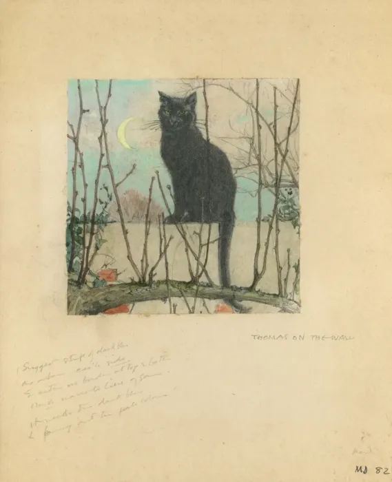 Framed Print : Black cat in garden by Muriel Dawson Framed Print : Black cat in garden by Muriel Dawson