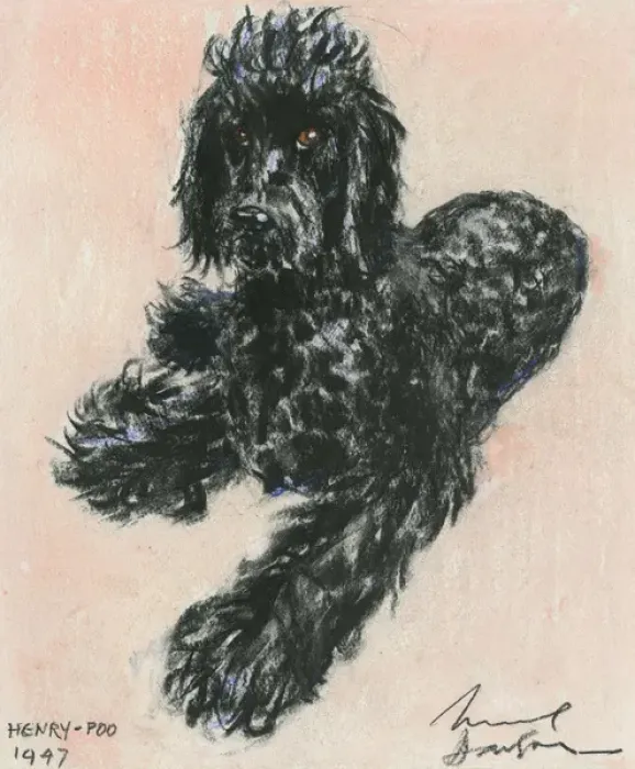 Framed Print : Black dog named Henry-Poo by Muriel Dawson Framed Print : Black dog named Henry-Poo by Muriel Dawson