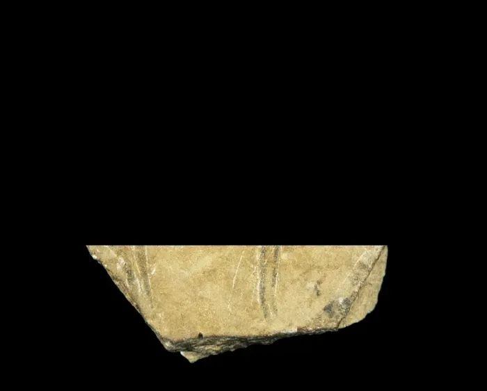 Framed Print : Black hind. Upper Paleolithic. Solutrean. SPAIN Framed Print : Black hind. Upper Paleolithic. Solutrean. SPAIN