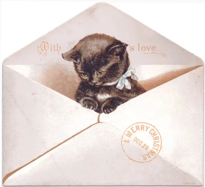 Framed Print : Black kitten in an envelope on a Christmas card Framed Print : Black kitten in an envelope on a Christmas card