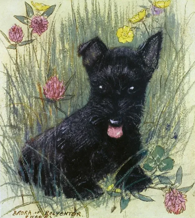 Framed Print : Black puppy by Muriel Dawson Framed Print : Black puppy by Muriel Dawson