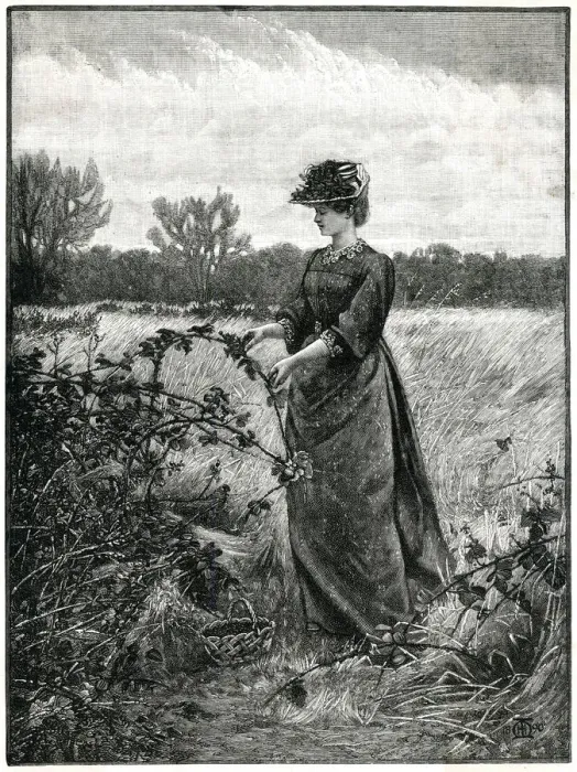 Framed Print : Blackberry picking 1880 Framed Print : Blackberry picking 1880