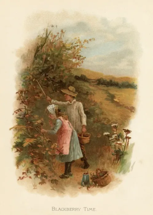 Framed Print : Blackberry time / childrens book Framed Print : Blackberry time / childrens book