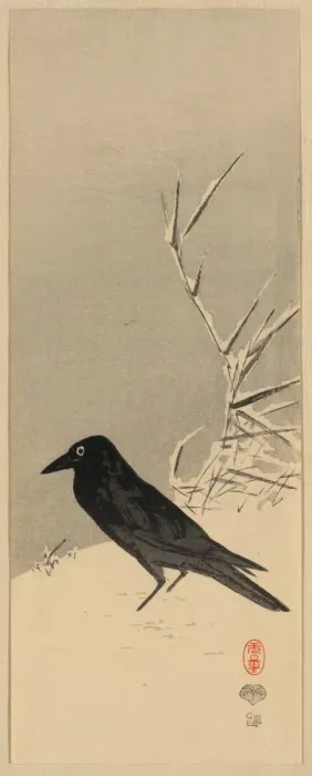 Framed Print : Blackbird near reeds in snow Framed Print : Blackbird near reeds in snow