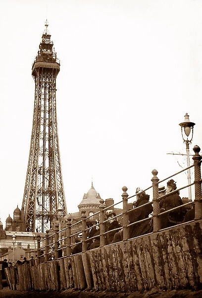Blackpool Tower, early 1900s