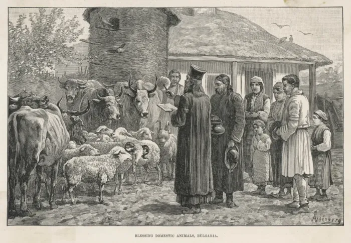 Framed Print : Blessing Animals, Bulgar Framed Print : Blessing Animals, Bulgar