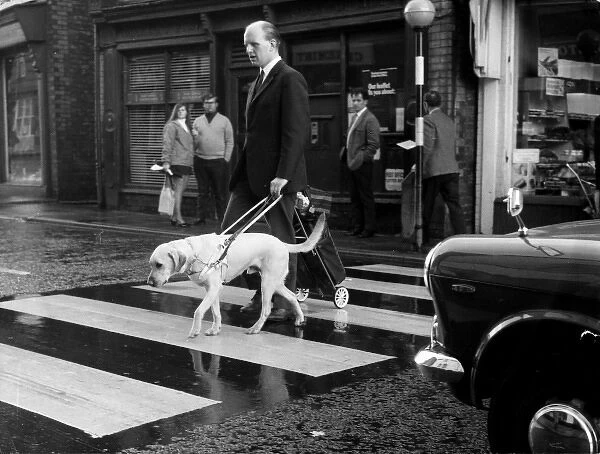 Blind man with guide dog crossing the road