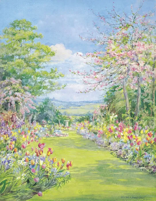 Framed Print : Blossom time