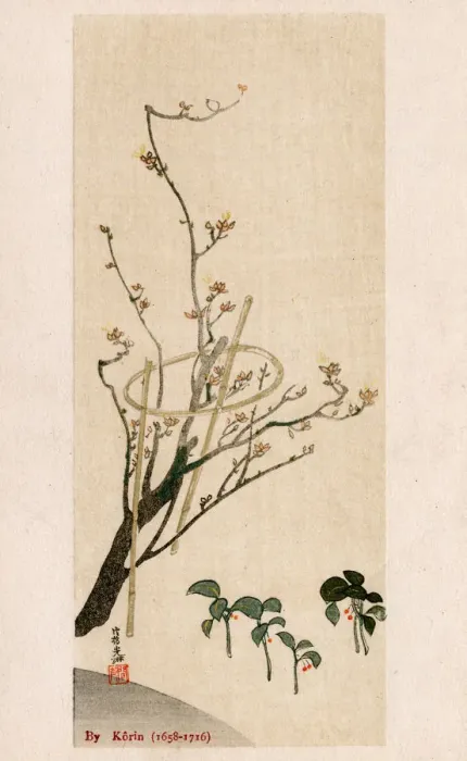 Framed Print : Blossom Tree with bamboo supports by Ogata Korin Framed Print : Blossom Tree with bamboo supports by Ogata Korin