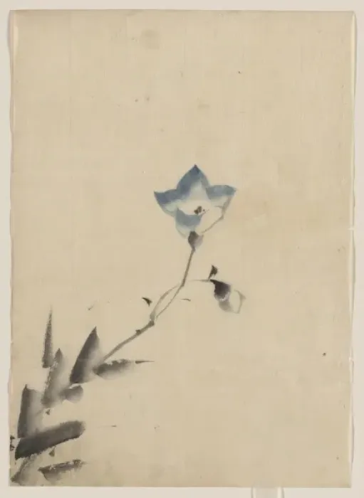Framed Print : Blue blossom at the end of a stem Framed Print : Blue blossom at the end of a stem