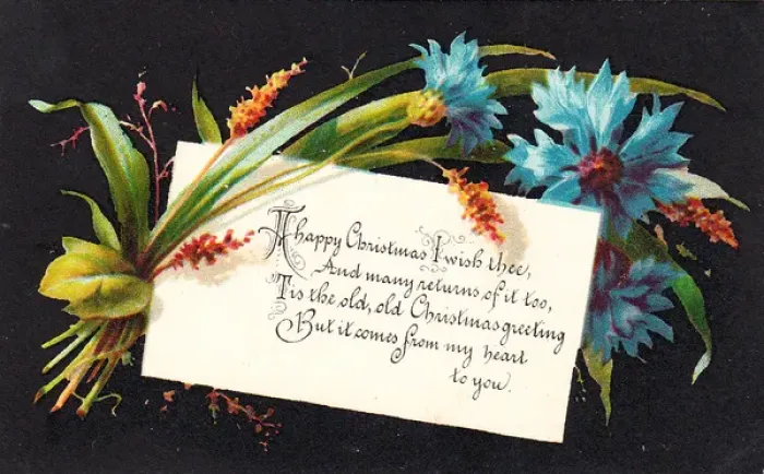 Framed Print : Blue cornflowers on a Christmas card Framed Print : Blue cornflowers on a Christmas card
