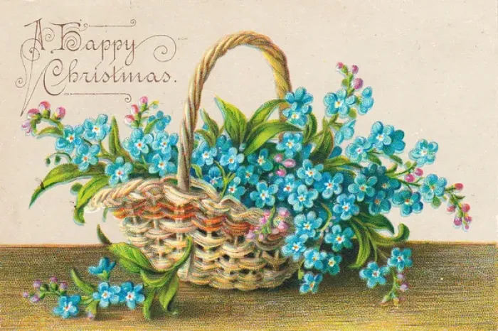 Framed Print : Blue flowers in a basket on a Christmas card Framed Print : Blue flowers in a basket on a Christmas card