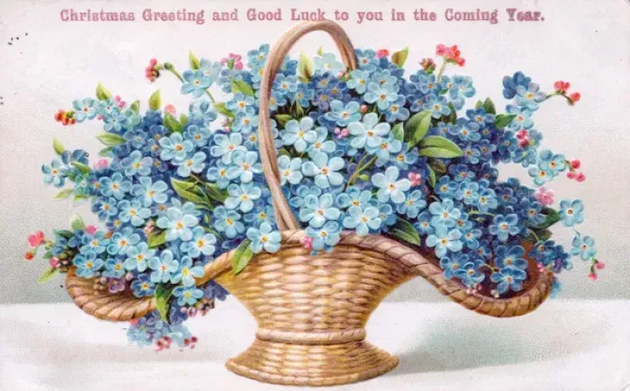 Framed Print : Blue flowers in a basket on a Christmas and New Year card Framed Print : Blue flowers in a basket on a Christmas and New Year card