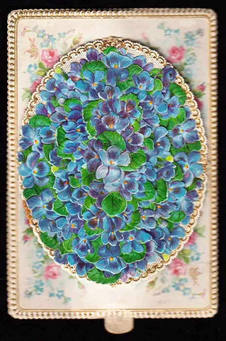 Framed Print : Blue forgetmenots on a greetings card Framed Print : Blue forgetmenots on a greetings card