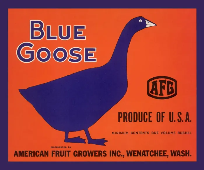 Framed Print : Blue Goose Label Framed Print : Blue Goose Label