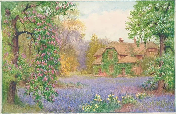 Framed Print : Bluebell Time Framed Print : Bluebell Time