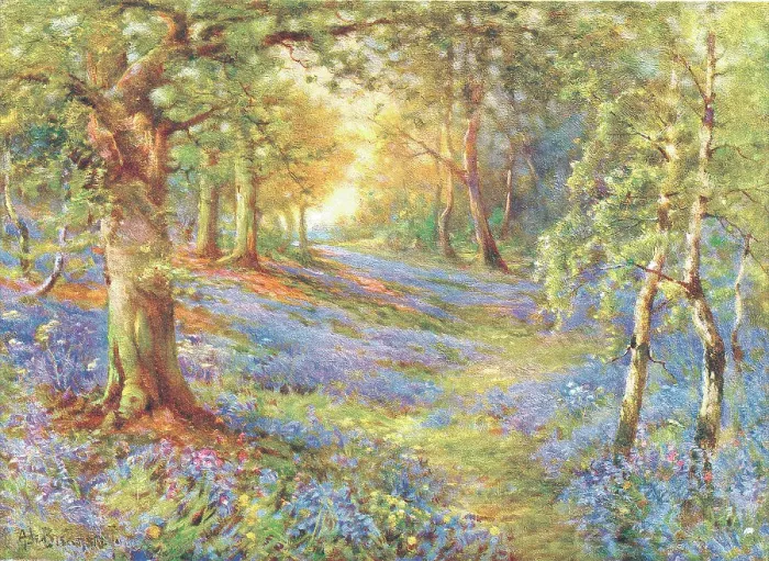 Framed Print : Bluebell Wood Framed Print : Bluebell Wood