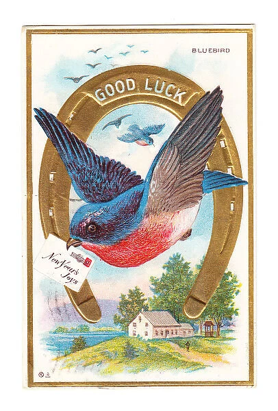 Bluebird and horseshoe on a Good Luck New Year postcard