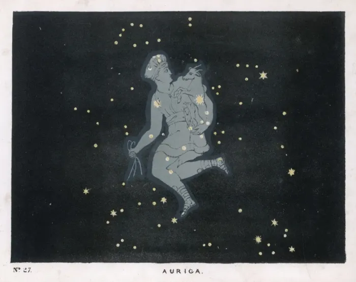 Framed Print : Blunt / Auriga / Plate 27 Framed Print : Blunt / Auriga / Plate 27