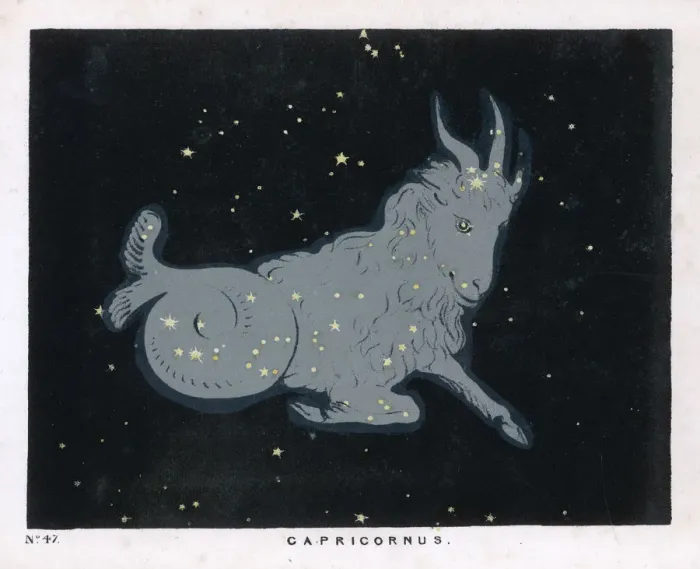 Framed Print : BLUNT / CAPRICORN / 47 / 1849 Framed Print : BLUNT / CAPRICORN / 47 / 1849