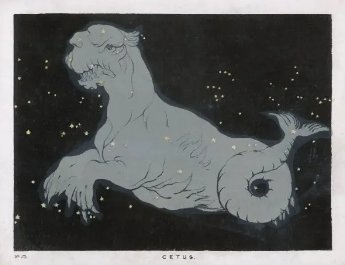Framed Print : Blunt / Cetus / Plate 53 Framed Print : Blunt / Cetus / Plate 53
