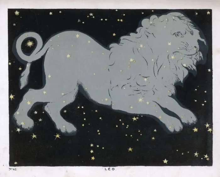 Framed Print : BLUNT / LEO / PLATE 42 Framed Print : BLUNT / LEO / PLATE 42