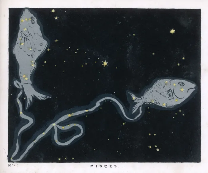 Framed Print : BLUNT / PISCES / PLATE 49 Framed Print : BLUNT / PISCES / PLATE 49