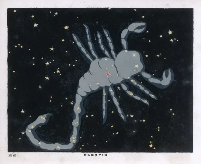 Framed Print : BLUNT / SCORPIO / 45 / 1849 Framed Print : BLUNT / SCORPIO / 45 / 1849