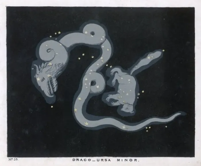 Framed Print : Blunt / Ursa Minor / Pl 25 Framed Print : Blunt / Ursa Minor / Pl 25