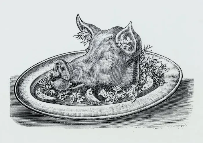 Framed Print : BOARs HEAD Framed Print : BOARs HEAD