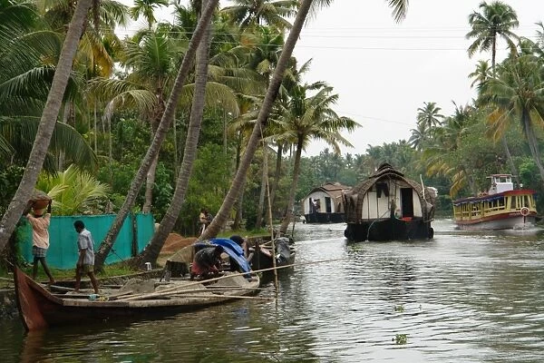 Boats in the Alleppey backwaters, Kerala, India