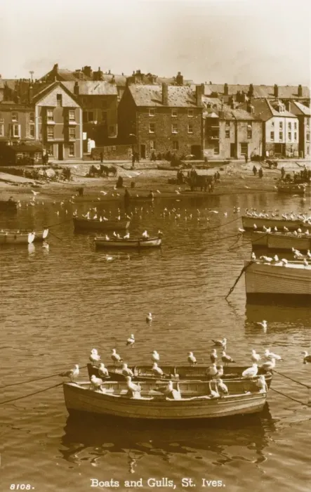 Framed Print : Boats and Gulls - St Ives, Cornwall Framed Print : Boats and Gulls - St Ives, Cornwall