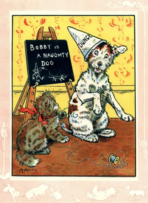 Framed Print : Bobby the dog wearing a dunces cap