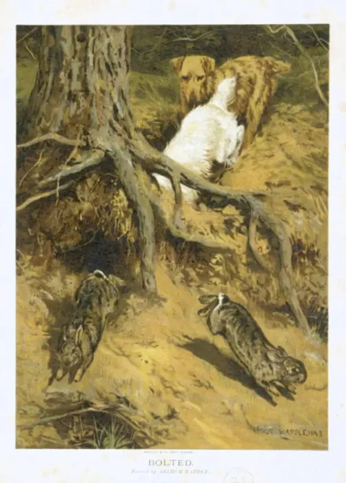 Framed Print : Bolted by Arthur Wardle Framed Print : Bolted by Arthur Wardle