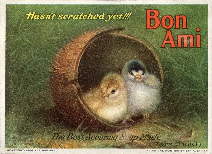 Framed Print : Bon Ami Scouring Soap, Chicks hasn't scratched yet Framed Print : Bon Ami Scouring Soap, Chicks hasn't scratched yet