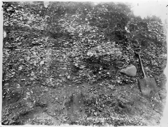 Framed Print : Bone digging, Elizabeth Island, Strait of Magellan Framed Print : Bone digging, Elizabeth Island, Strait of Magellan
