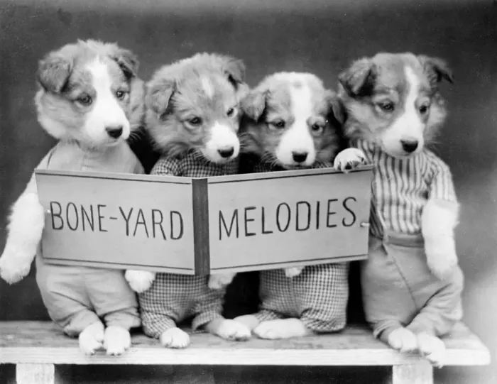 Framed Print : BONE-YARD MELODIES Framed Print : BONE-YARD MELODIES