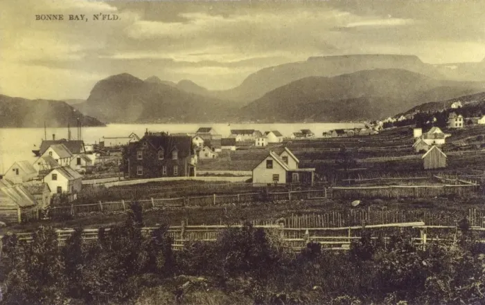 Framed Print : Bonne Bay - Newfoundland Framed Print : Bonne Bay - Newfoundland