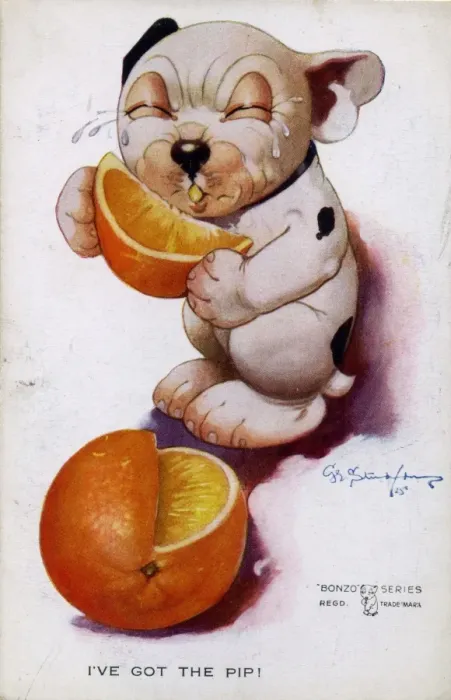 Framed Print : Bonzo eating an orange Framed Print : Bonzo eating an orange