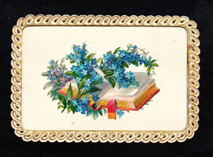 Framed Print : Book and flowers on a greetings card Framed Print : Book and flowers on a greetings card