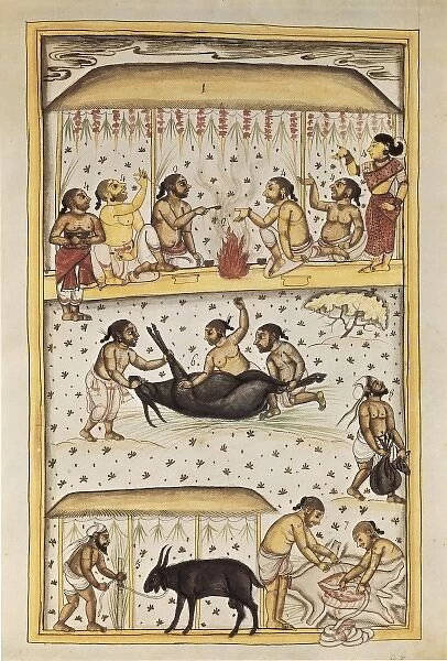 Book of the Moghul. Ms. 8300. 17th c. Brahman