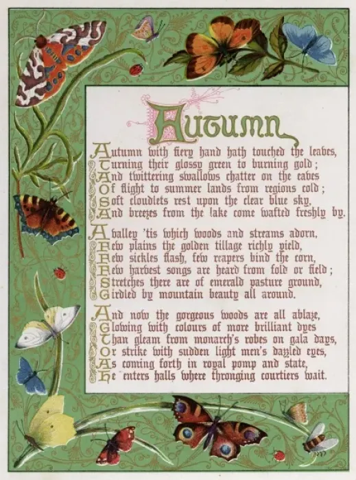 Framed Print : Border Showing Autumn Framed Print : Border Showing Autumn