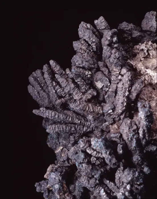 Framed Print : Bornite (copper iron sulphide) is also known as peacock ore on account Framed Print : Bornite (copper iron sulphide) is also known as peacock ore on account