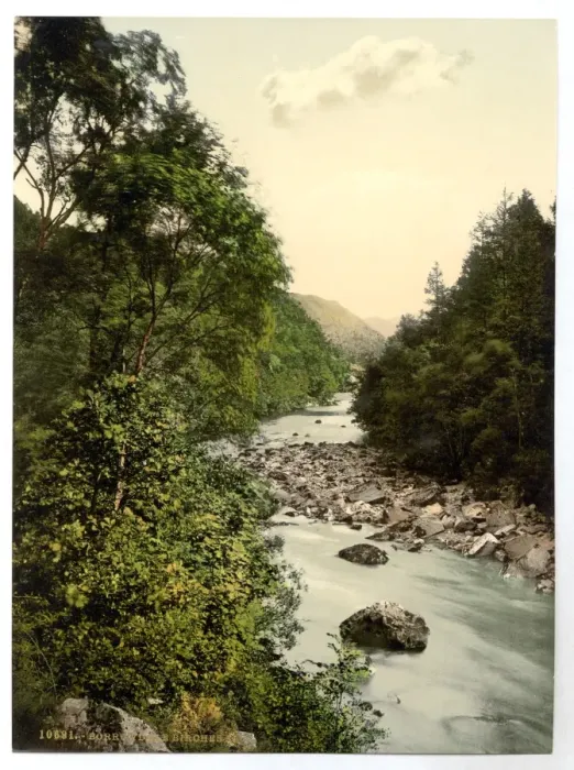 Framed Print : Borrowdale Birches, II. Lake District, England Framed Print : Borrowdale Birches, II. Lake District, England
