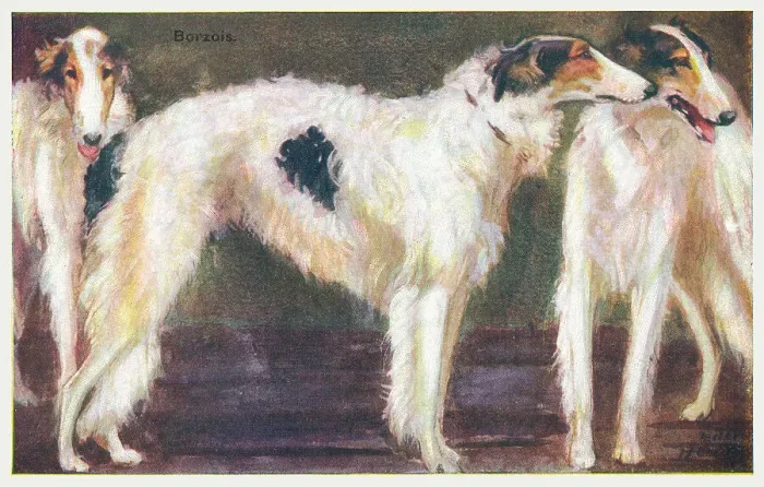Framed Print : Borzois. Painting of three borzoi dogs. Artist: Eileen Hood Date: circa 1912 Framed Print : Borzois. Painting of three borzoi dogs. Artist: Eileen Hood Date: circa 1912