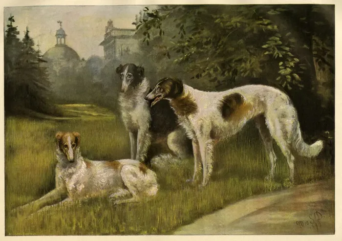 Framed Print : Borzois owned by the Kaiser Framed Print : Borzois owned by the Kaiser