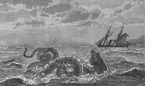 Boston Sea Serpent. The sea-serpent seen at Gloucester Bay